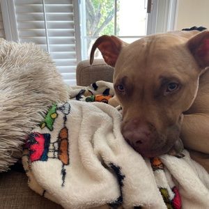 Meet your Posher, Wendy